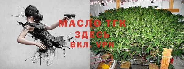 гашик Арсеньев