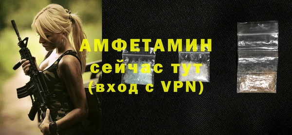 гашик Арсеньев